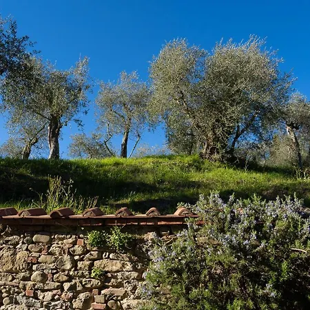 Alloggi In Villa Storica Pescia Exterior foto