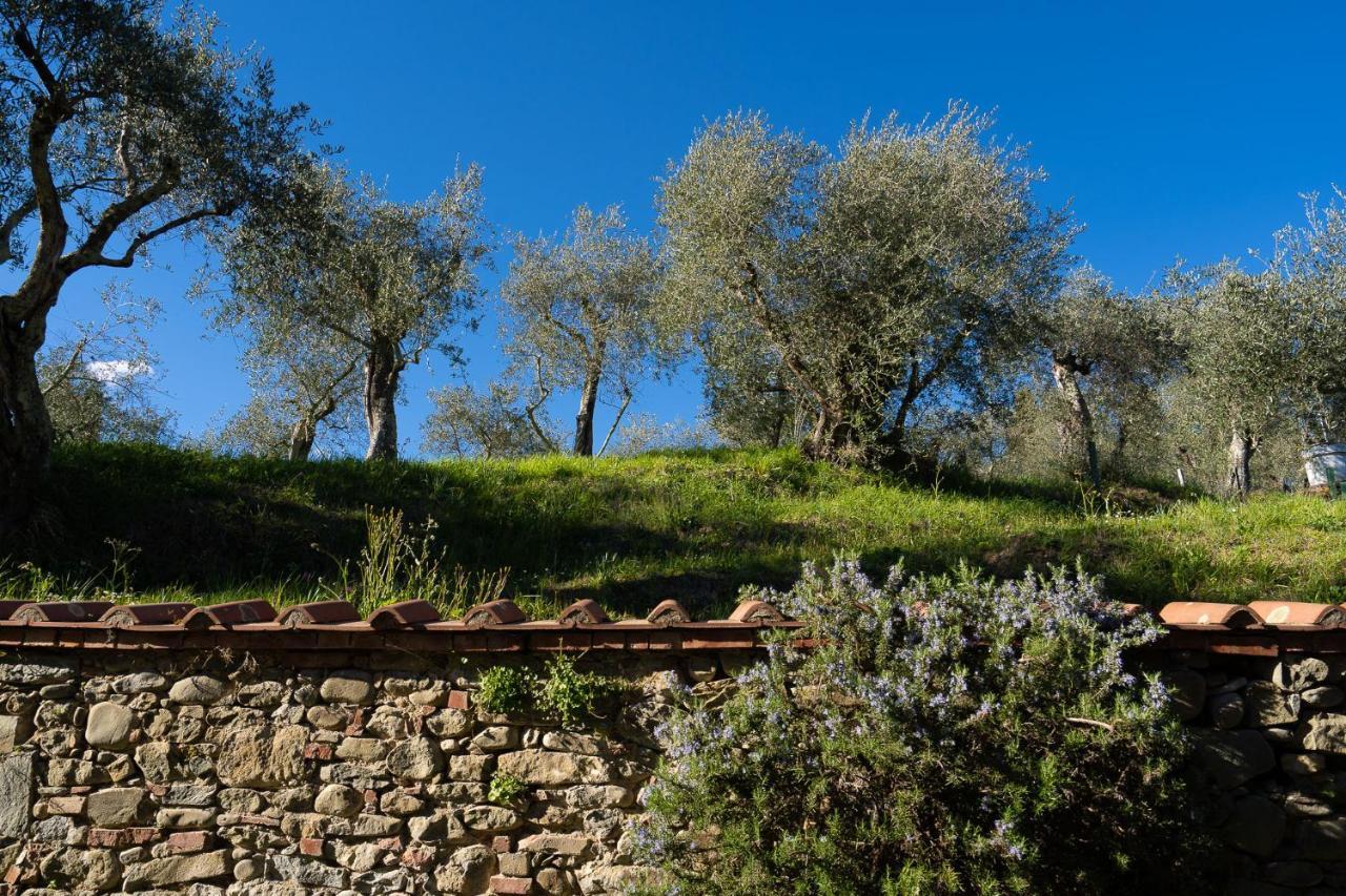 Villa Alloggi In Storica Pescia