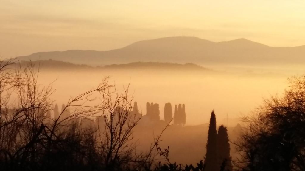 Alloggi In Storica Pescia