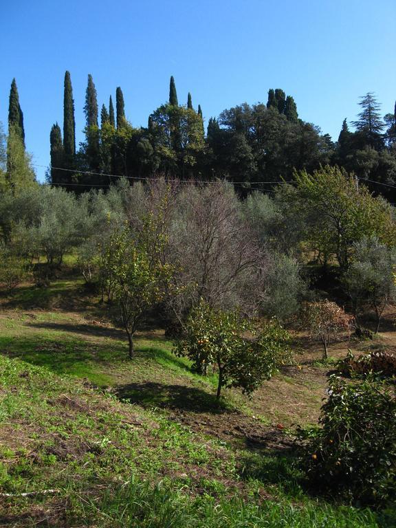 Alloggi In Storica Villa Pescia